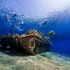 Ein versunkener Panzer im Roten Meer, vor der jordanischen Küste