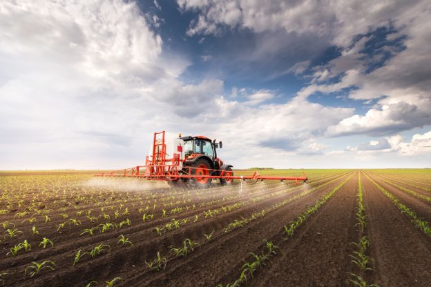 Industrielle Landwirtschaft - ein Diversitäts- und Klimakiller