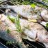 Fehler Nr. 5: Den Fisch direkt auf den Grill legen