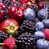 Antioxidantien