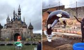 Banksy's neuestes Kunstprojet zeigt Dineyland von einer nie gekannten Seite