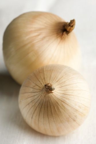 Zwiebeln