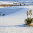 Tanze am White Sands Monument in New Mexico