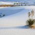 Tanze am White Sands Monument in New Mexico