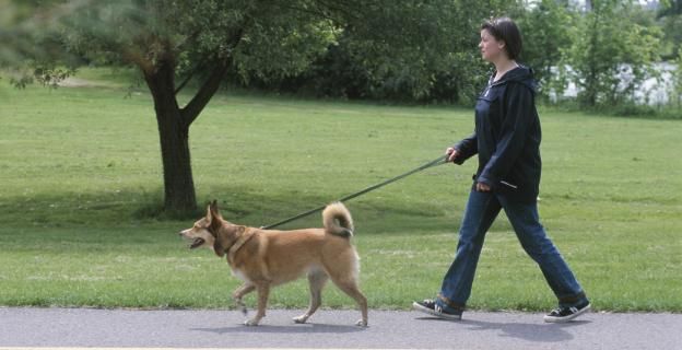 Mach einen Spaziergang