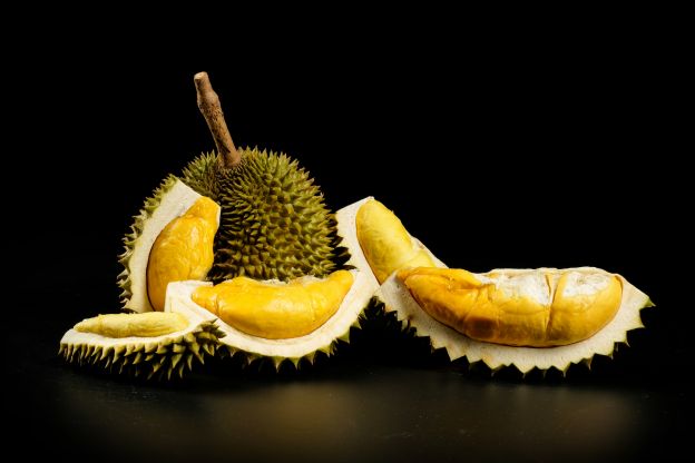 Durian / Stinkfrucht