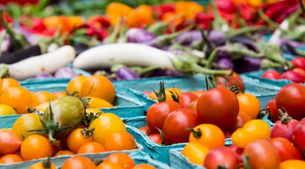 Ab wann gab es Tomaten bei uns?