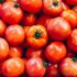 Tomaten