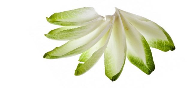 1. Chicorée mit Naturquark