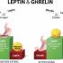 3. Leptin