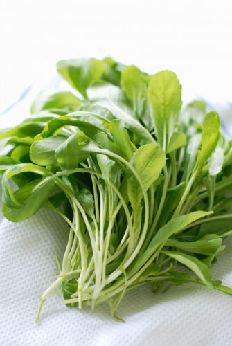 Salat