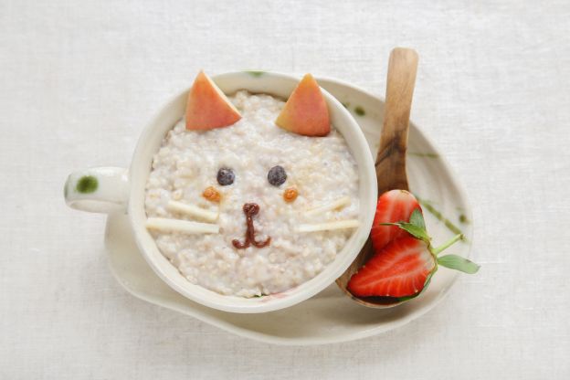 Katzen-Porridge