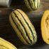 Delicata Squash