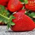 Erdbeeren, wie am ersten Tag genießen können