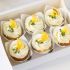 Orangen Cupcakes mit Thymian