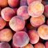 Aprikosen und Pfirsiche