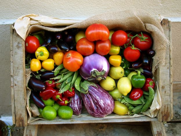 70 % des Muskelaufbaus besteht aus Ernährung