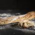 Kein Brot im Weltall