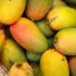 Mangos