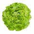 Blattsalat