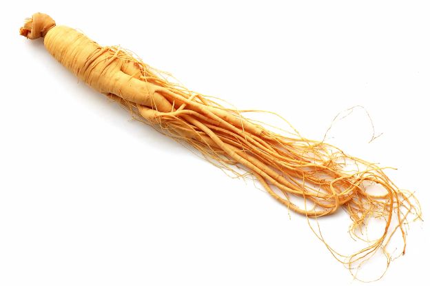 Ginseng