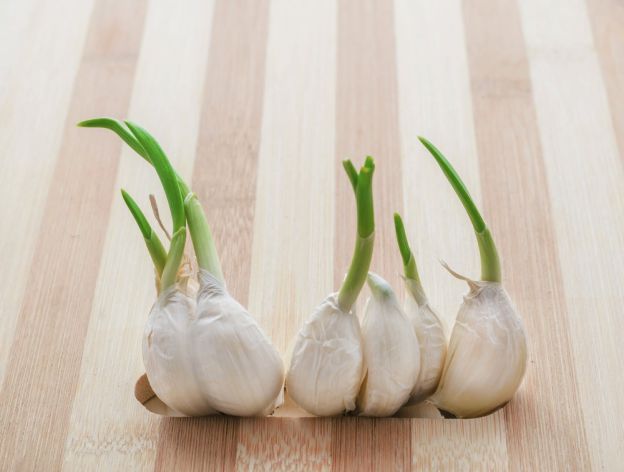 Knoblauch schälen leicht gemacht