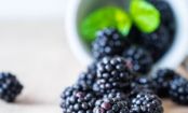 Tutti frutti: 8 köstliche Arten Brombeeren zu genießen!