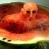 Olympische Wassermelone