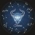 Stier