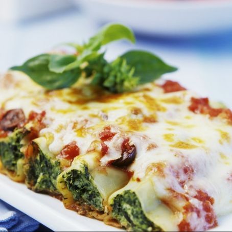 Cannelloni mit Ricotta und Spinat