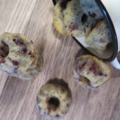 Chia-Cranberry Gugl