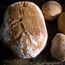 Mischbrot, -brötchen