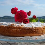 Zucchinikuchen mit Kokos