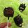 Igel Cake Pops