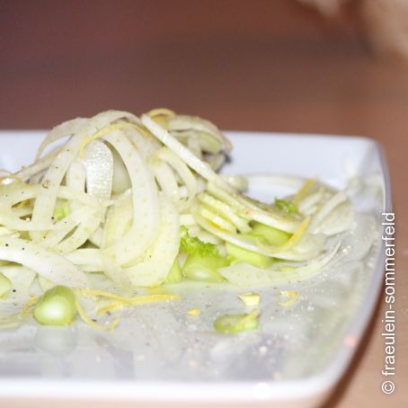 Fenchel-Salat