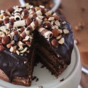 Chocolate Hazelnut - Törtchen - Schritt 3