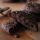 Double Chocolate - Toffiefee Cookies