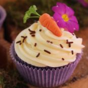 Chocolate - Carrot Cupcakes