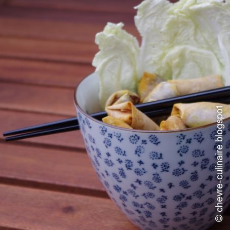 Feurige vegetarische Minifrühlingsrollen