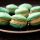 Macarons mit Lachs-Mousse Fuellung