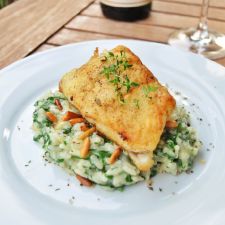 Zanderfilet auf Spinat-Risotto