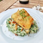 Zanderfilet auf Spinat-Risotto