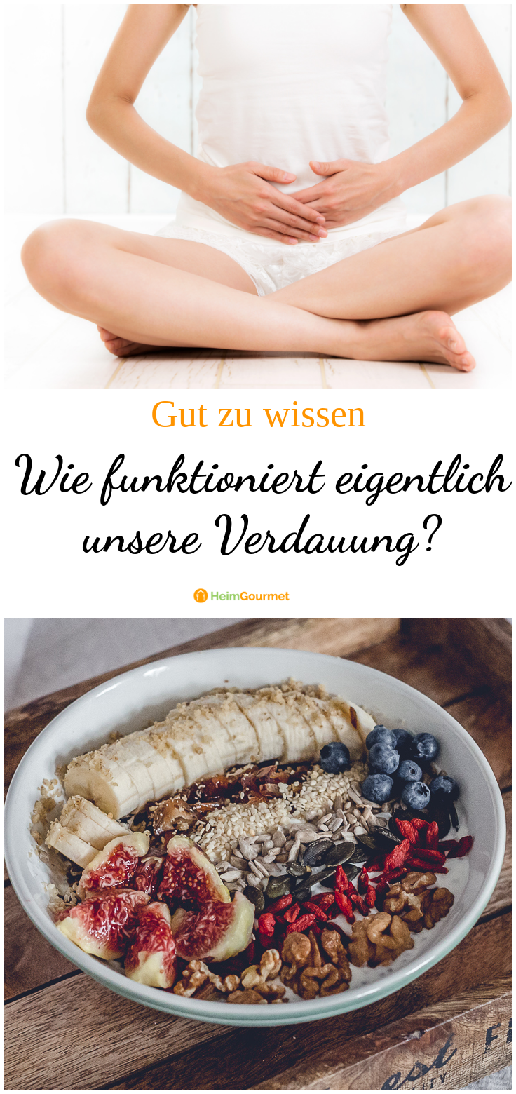 Ballaststoffe für unsere Verdauung Gesunde Fasern oder ungesunder Ballast?