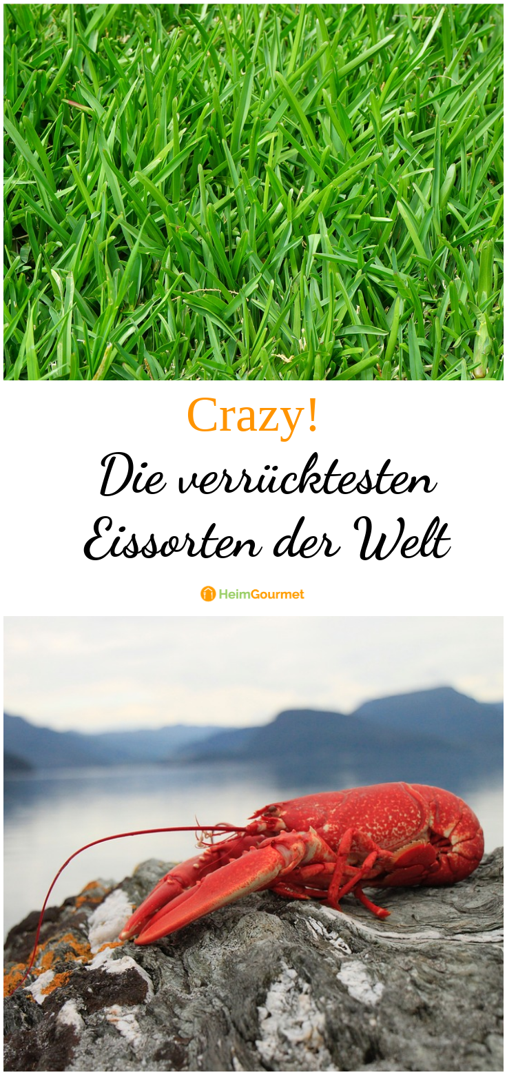 Die verrücktesten EISSORTEN der WELT!