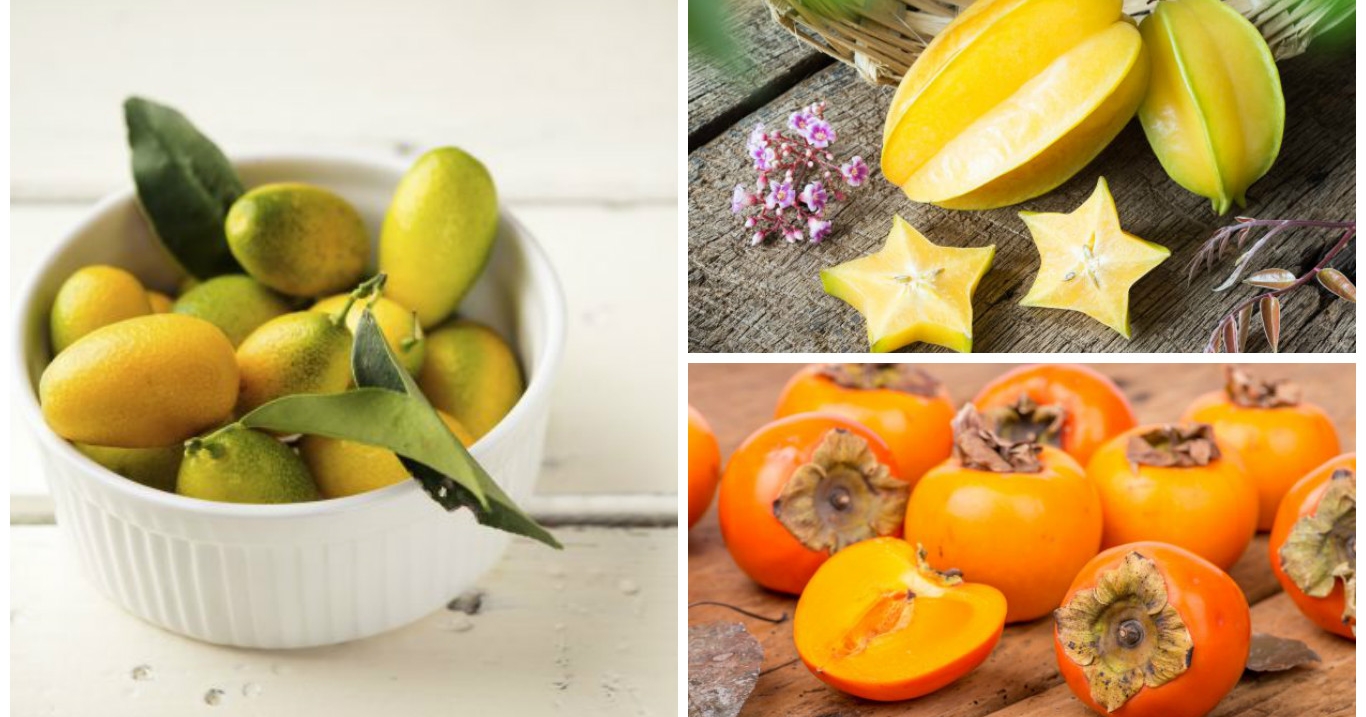 10 exotische Früchte, die ihr probieren müsst