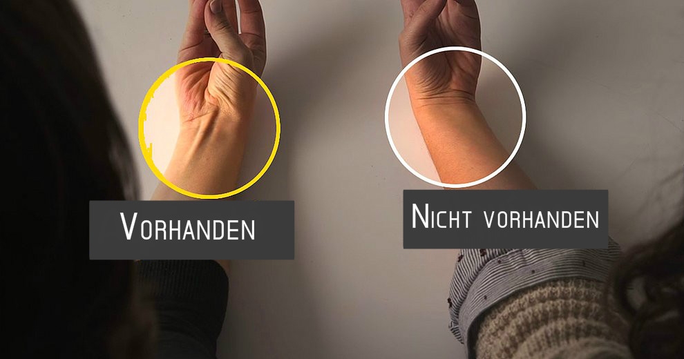 Könnt Ihr das mit Eurer Hand machen? Was diese Fähigkeit über Euren